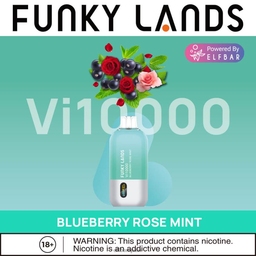 Funky Lands desechables vape vi10000 bocanadas VD2T6163 ELFBAR arándano rosa menta